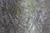 Meer End fibreglass roof work